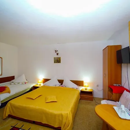 Pensiunea Margaritar Guest house Predeal