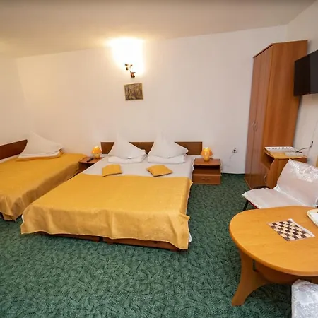 Pensiunea Margaritar Guest house