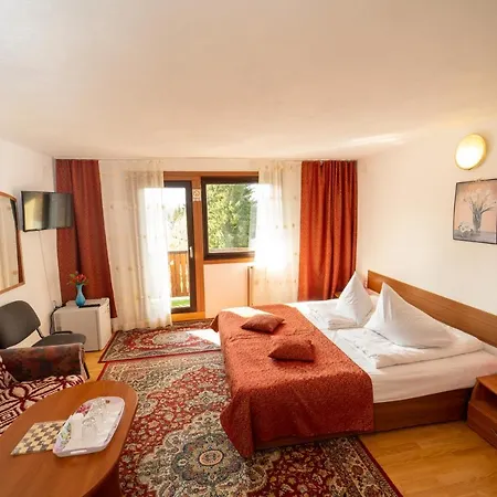 Guest house Pensiunea Margaritar