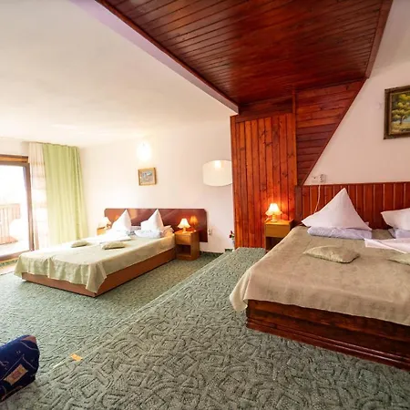 Guest house Pensiunea Margaritar